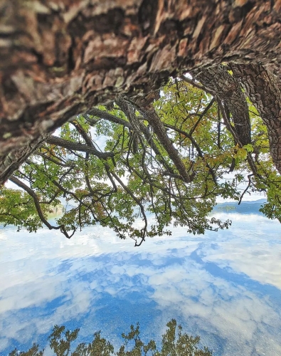 壁纸上新！雨后的泸沽湖美如“天空之境”