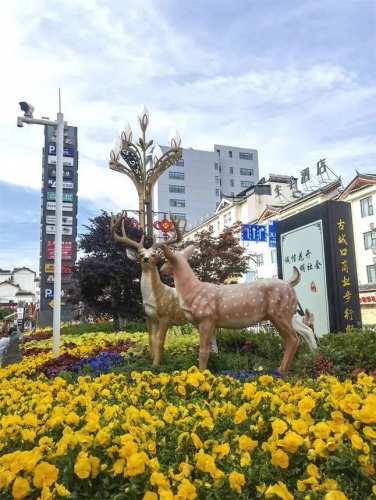 计划投资5.08亿元，我市积极推进花园城市建设