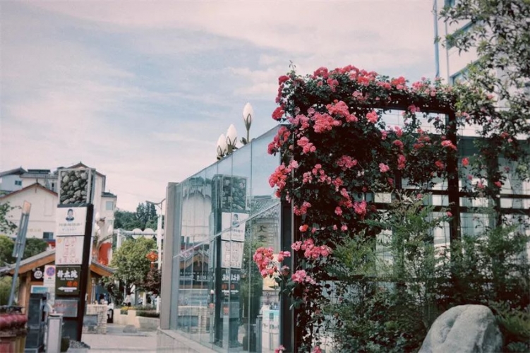 计划投资5.08亿元，我市积极推进花园城市建设