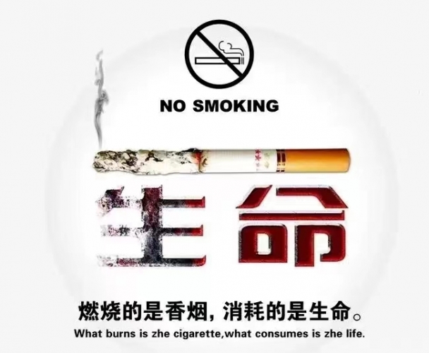 世界无烟日  我们齐倡议