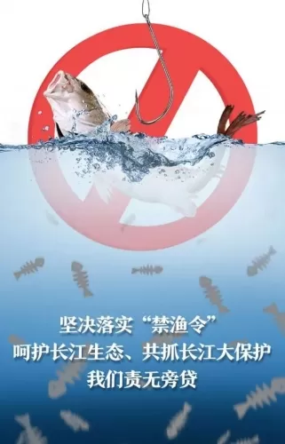 非法捕捞水产品？拘！