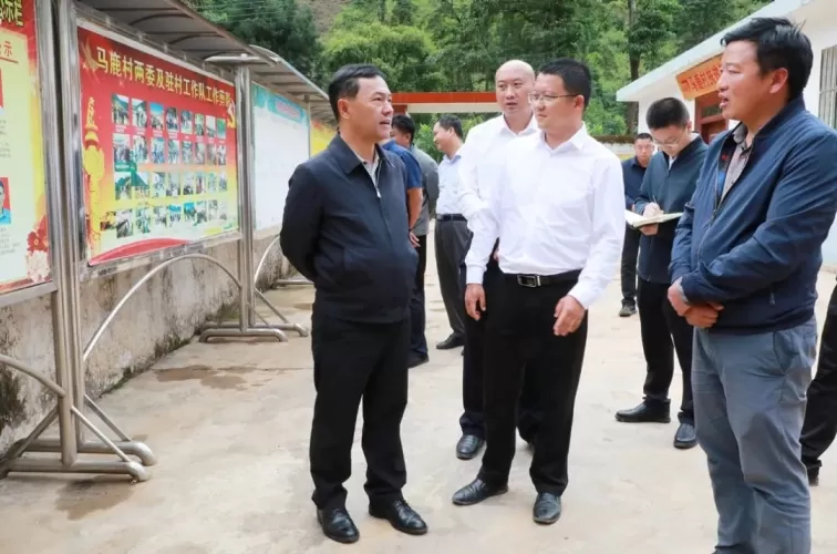 王峥到乡镇调研防汛减灾 地质灾害防治 人居环境提升工作