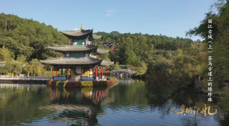 CCTV再出佳作，这部纪录片告诉你关于丽江古城的秘密