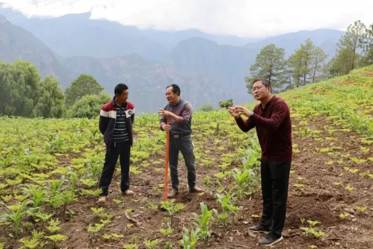 服务农户零距离，玉龙县科技助农促振兴