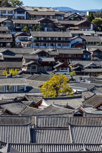 奋力把美好蓝图变为现实图景——在建设世界文化旅游名城中奉献古城担当