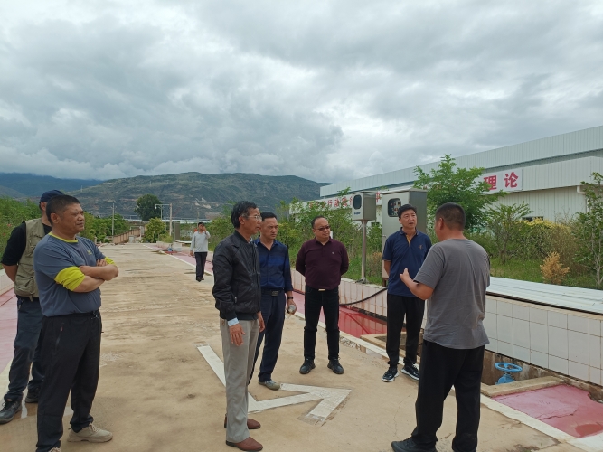 民革丽江市总支部调研程海“两污”治理工作