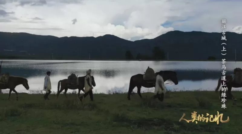 《人类的记忆——中国的世界遗产》 （丽江古城）将在央视CCTV—1播出！