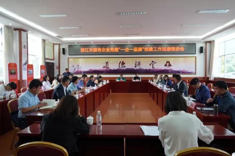 丽江市国资委开展国有企业党建品牌创建观摩推进会