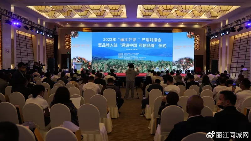 “丽江芒果”走出云南、走向全国、走向世界