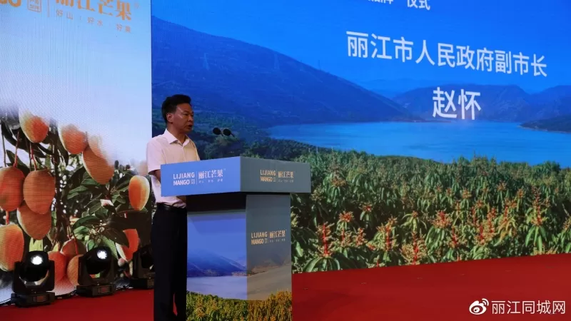 “丽江芒果”走出云南、走向全国、走向世界