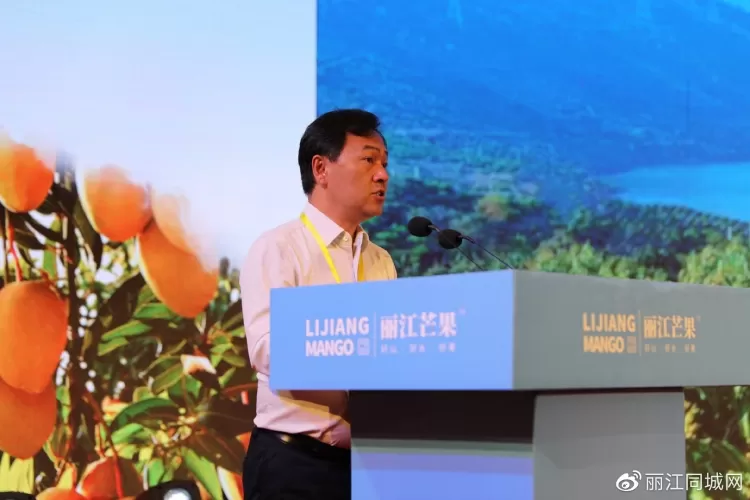 “丽江芒果”走出云南、走向全国、走向世界