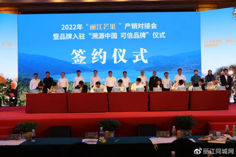 “丽江芒果”走出云南、走向全国、走向世界