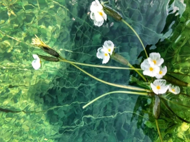 夏日的浪漫邂逅·泸沽湖