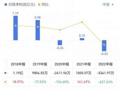    丽江股份2022年上半年亏损5341.97万