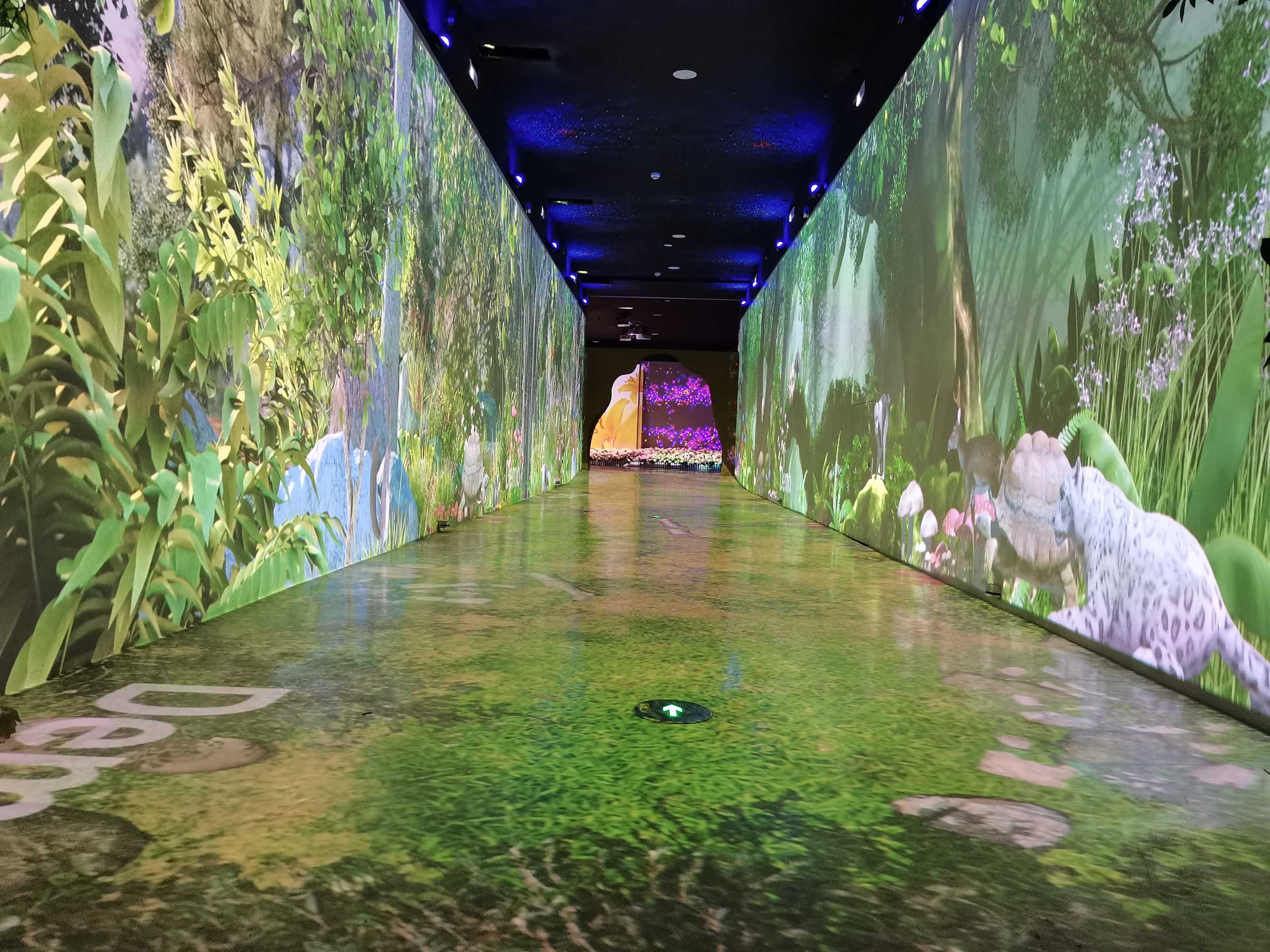 丽江海拔最高的博物馆 智慧又惊艳！