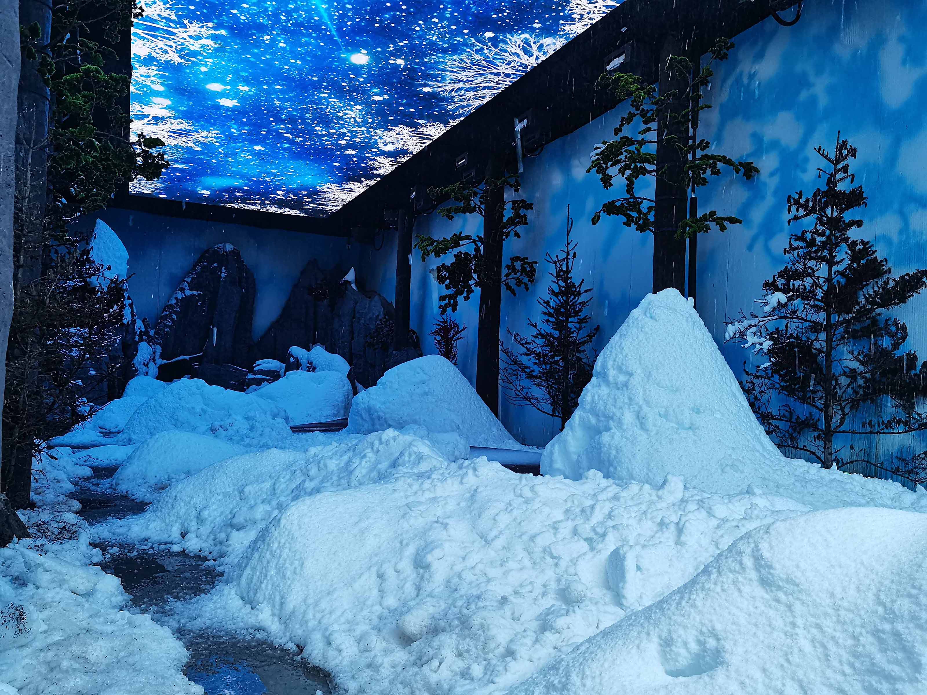 丽江海拔最高的博物馆 智慧又惊艳！