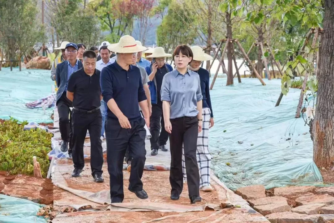 浦虹：把中济海公园打造成为贴近百姓、让人民群众放松身心的民生工程
