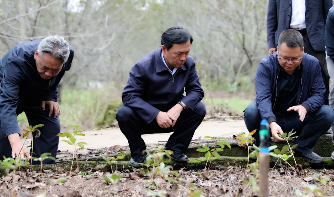 王峥深入华坪县新庄乡、中心镇调研并开展巡林工作