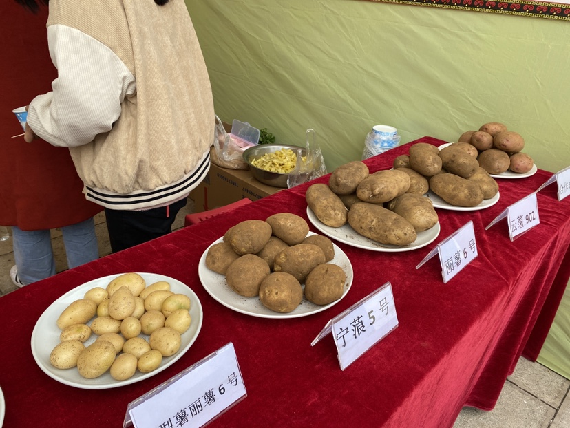 庆丰收 迎盛会！2022宁蒗县中国农民丰收节开幕