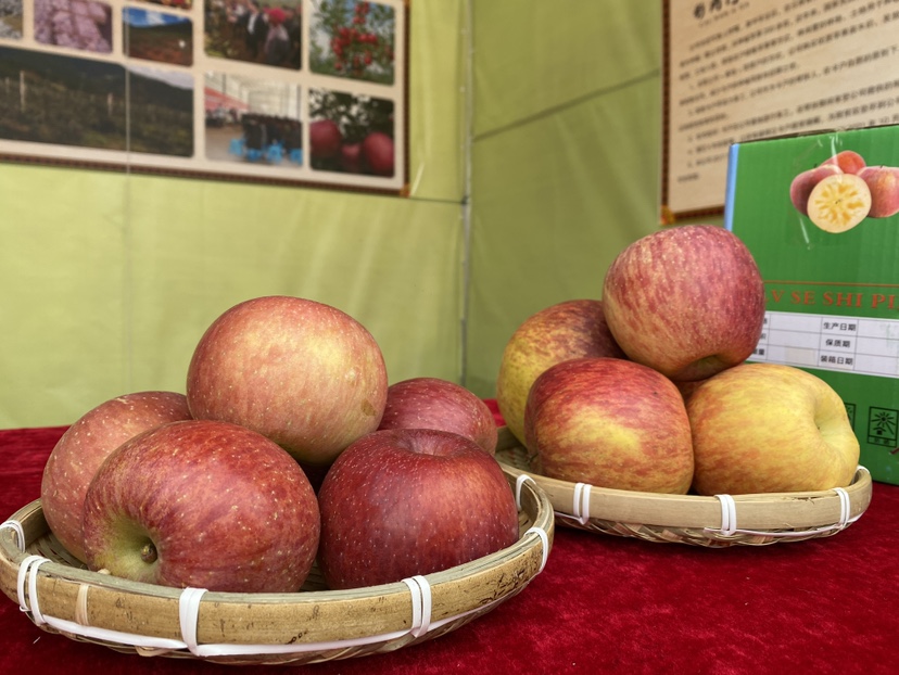 丑的任性，甜的自信 宁蒗苹果受一线城市欢迎