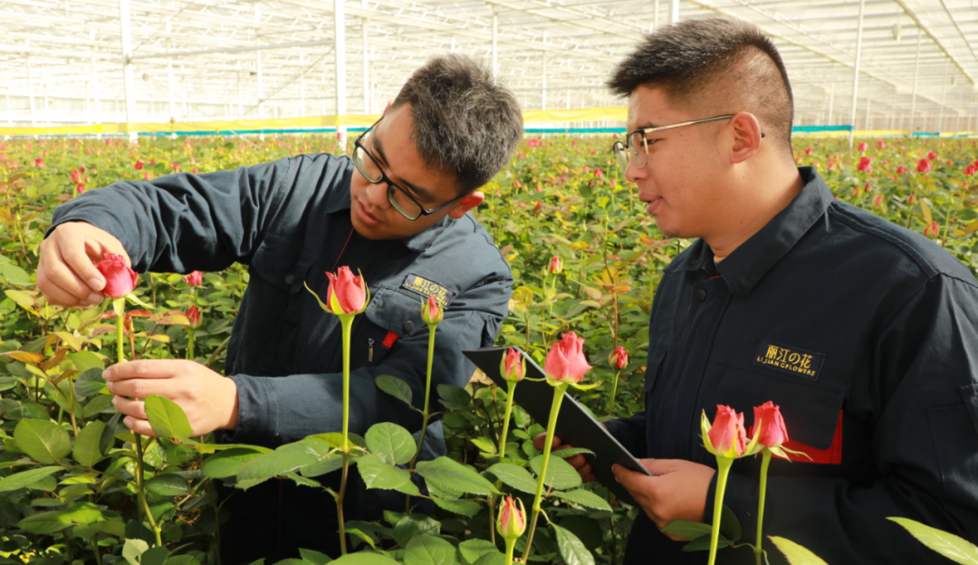 党的二十大开幕！古城区投控集团广大党员干部聚焦！反响热烈！