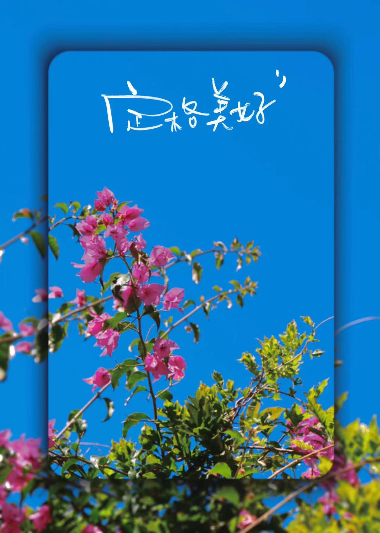 久违！你熟悉的丽江蓝又回来了  走 拍蓝天去！