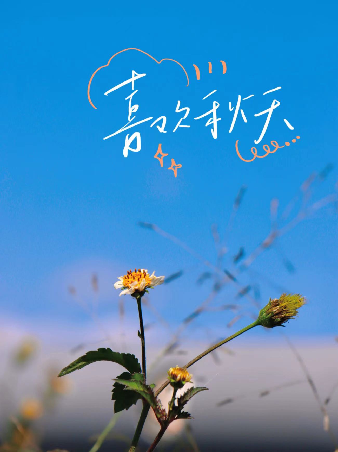 久违！你熟悉的丽江蓝又回来了  走 拍蓝天去！