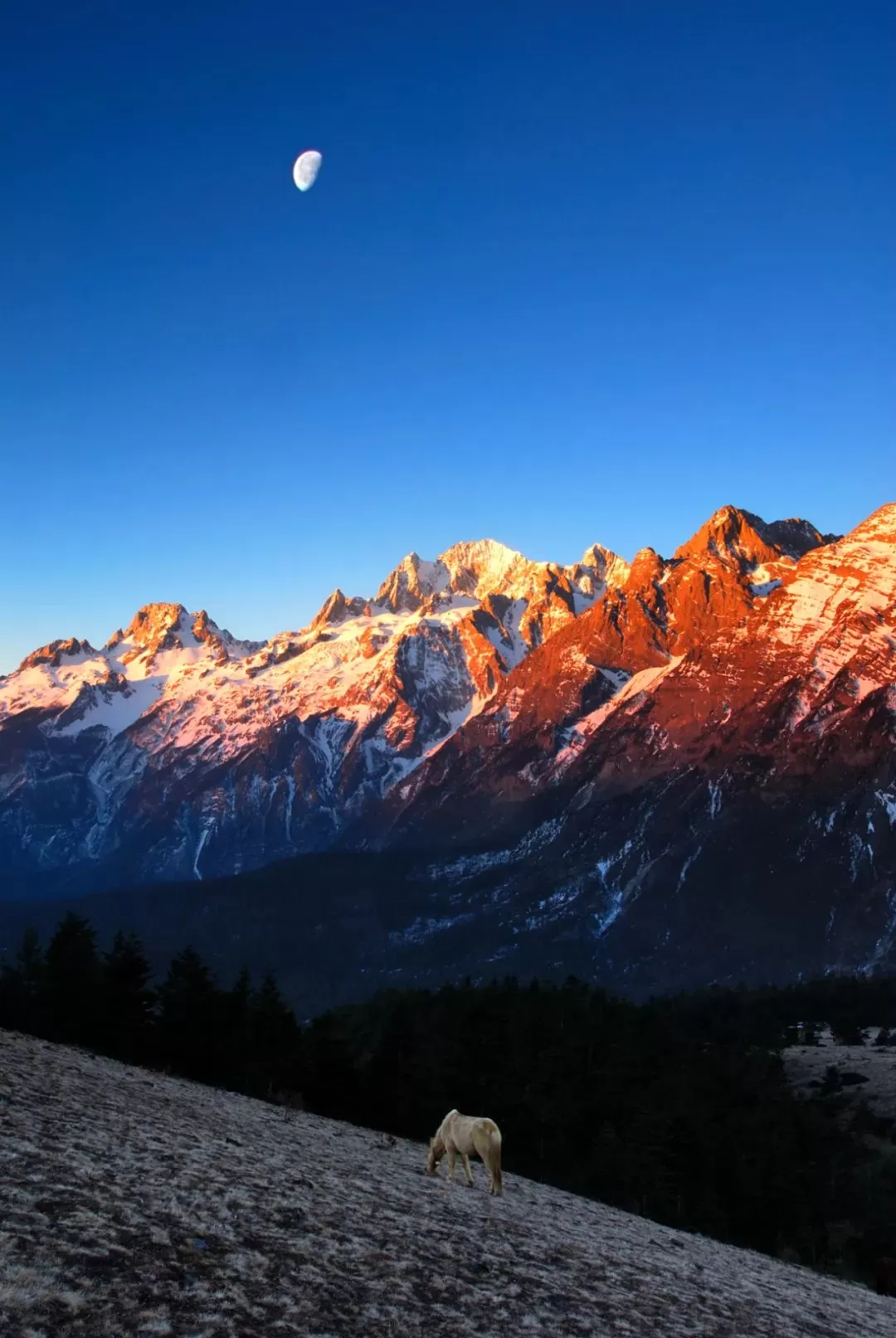赵立坚点赞丽江 网友纷纷发文表达对丽江的向往……