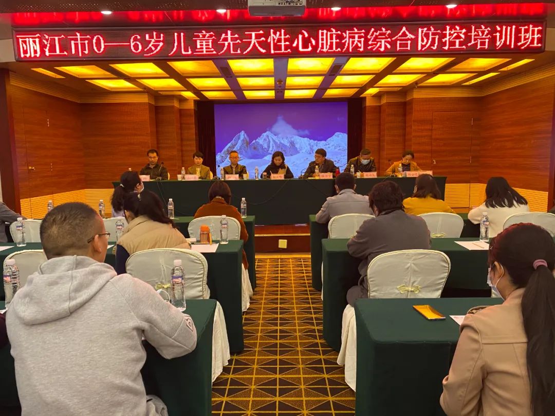 丽江市开展2022年0-6岁儿童先天性心脏病综合防控能力提升培训