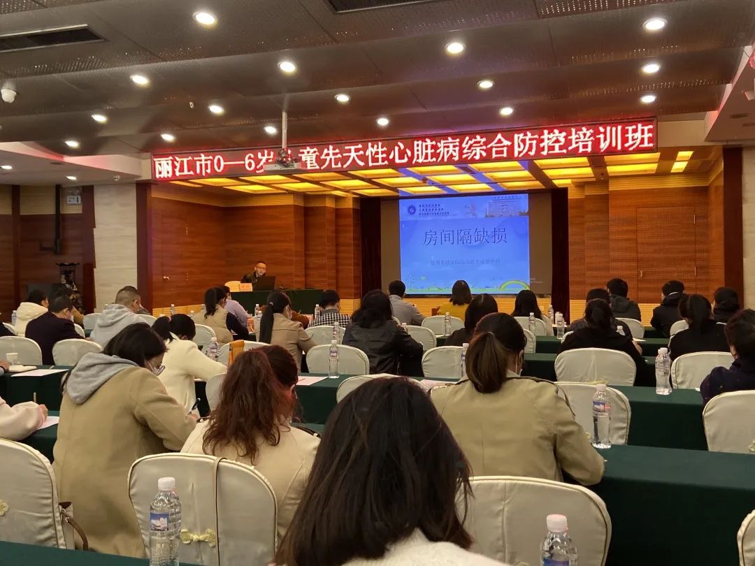 丽江市开展2022年0-6岁儿童先天性心脏病综合防控能力提升培训