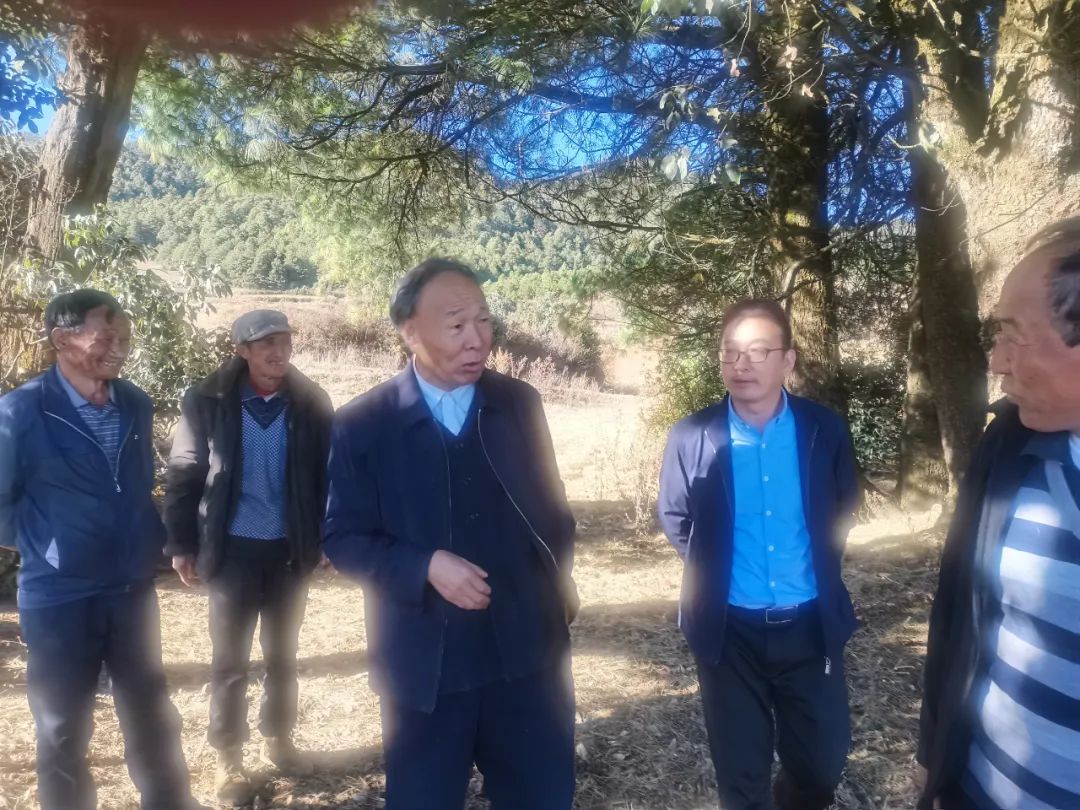 白庚胜到永胜县顺州镇调研民族传统文化