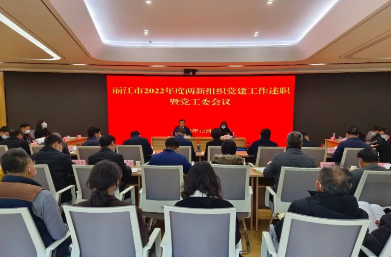 丽江市开展2022年度两新组织党建工作述职评议考核工作