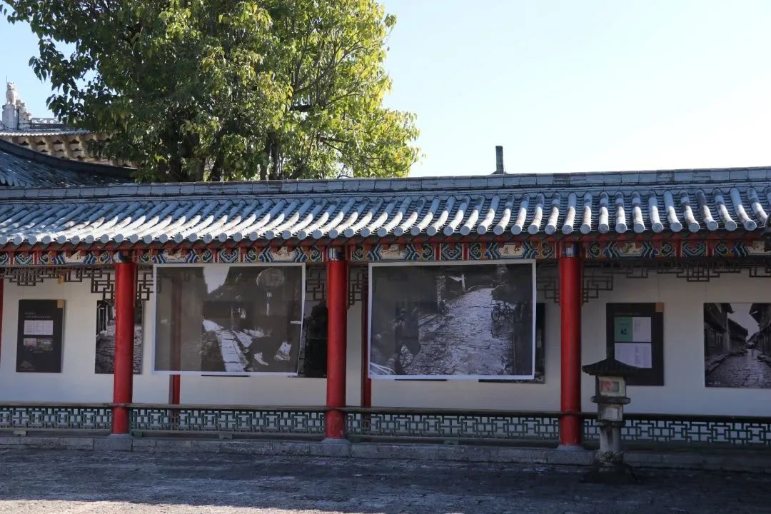 5个展区共计194幅作品 这个主题图展带您了解丽江古城的前世今生