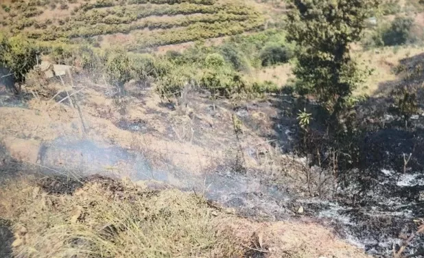 莫大意！烧饵块引发山林火灾，最终获刑！