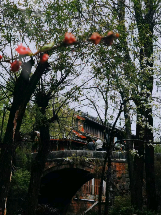 丽江古城：撞进“慢生活”的怀里  (4).png