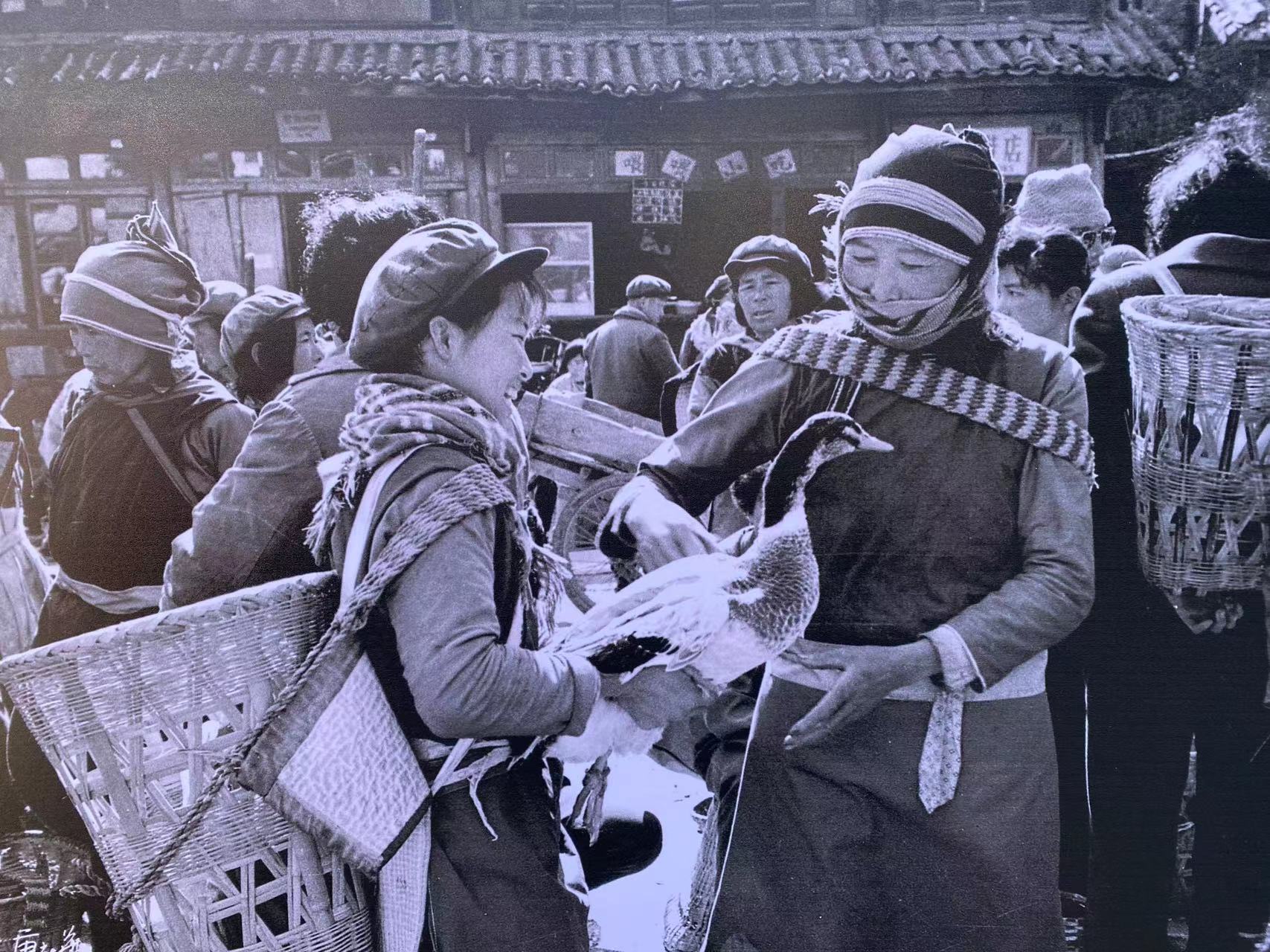 对丽江经济社会贡献63%的丽江古城品牌迎来申遗成功25周年 (5).jpg