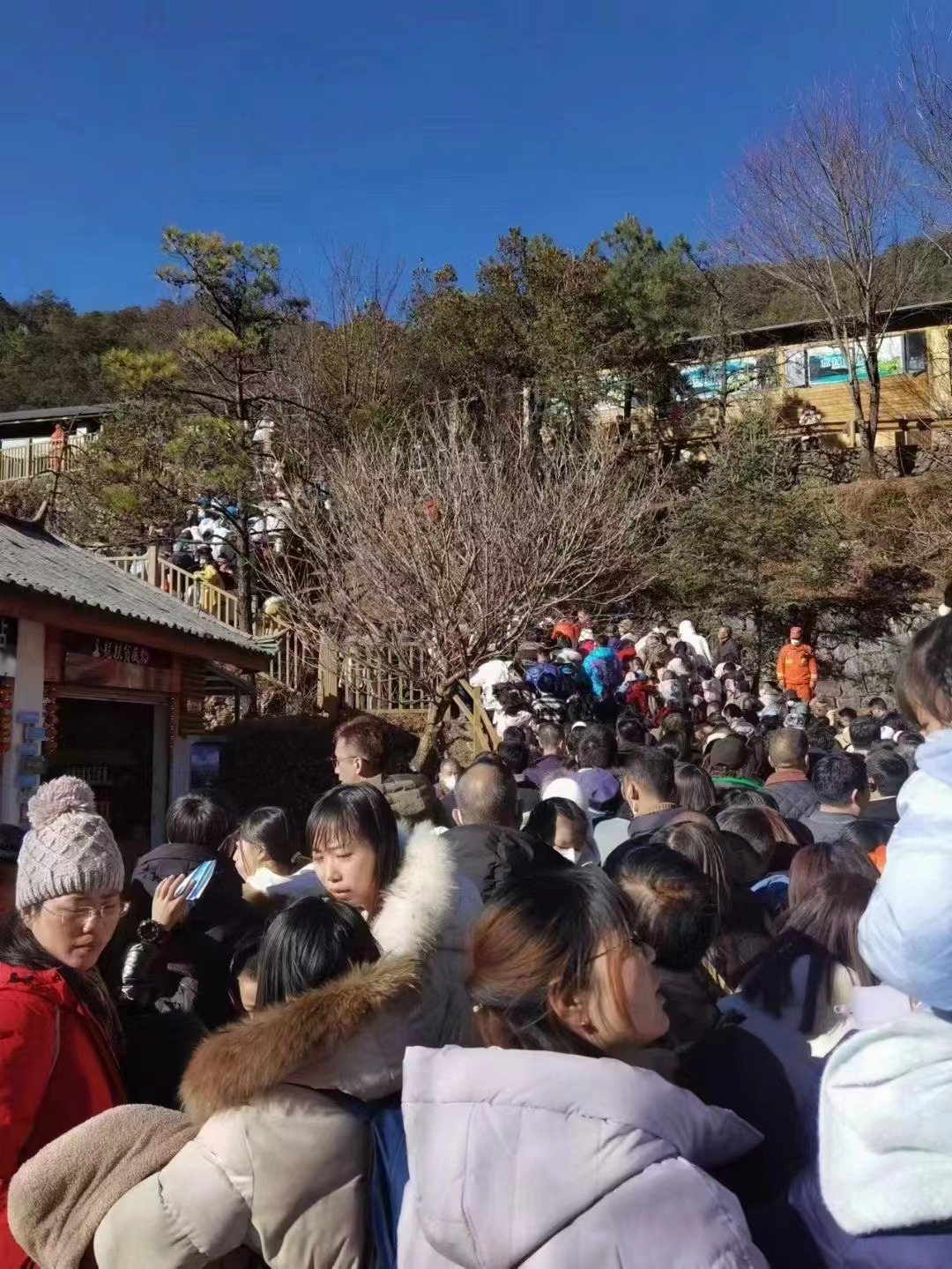 2023春节前五天丽江共接待游客136.1万人次 其中团队6.3万人