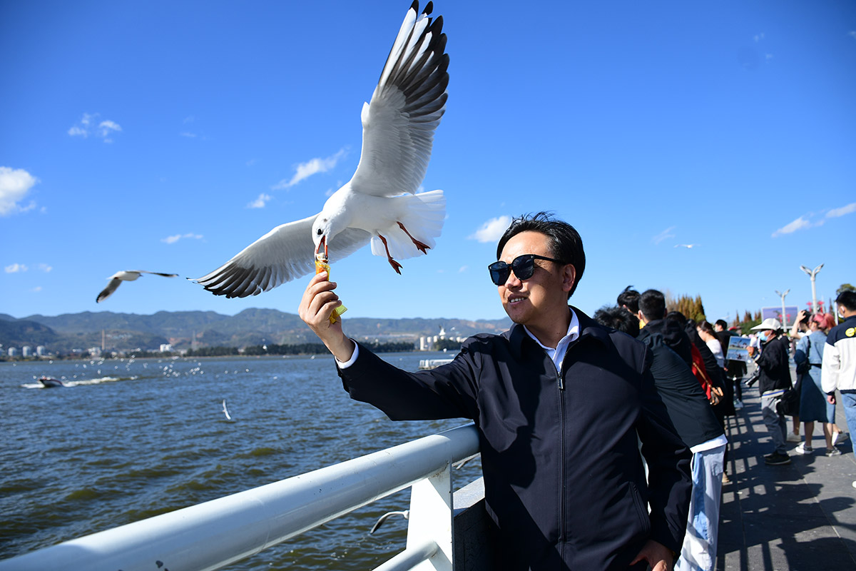 单反相机摄影技巧汇总