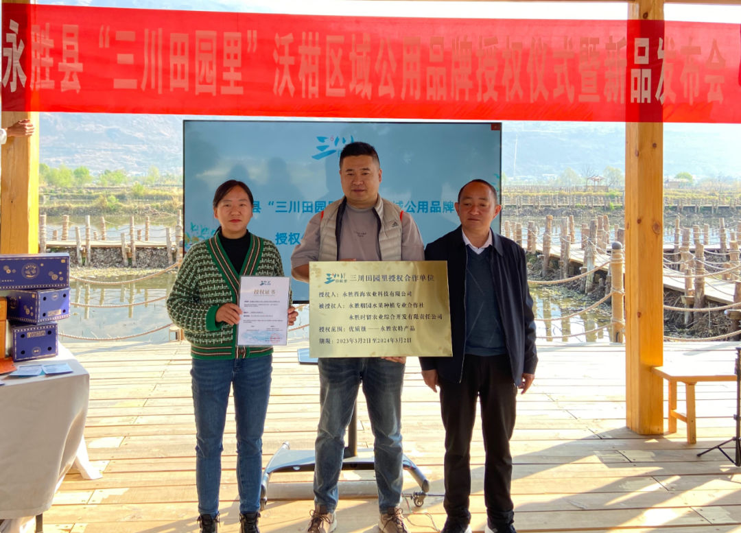 “三川田园里”区域公用品牌 助力永胜农业产业发展 (2).jpg