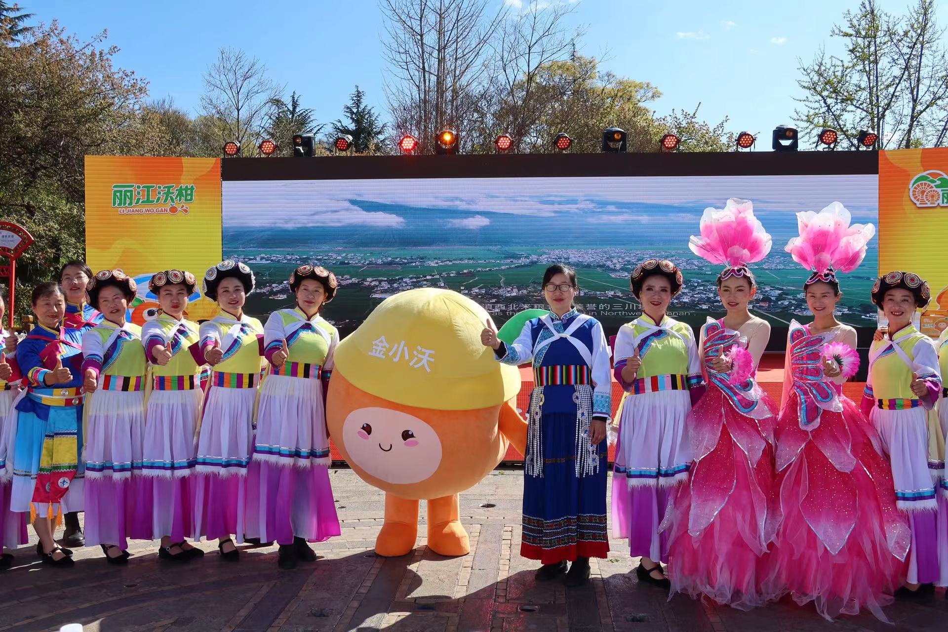 金沙江畔 黄金果味  丽金沙·丽江沃柑区域公共品牌正式发布 (3).jpg