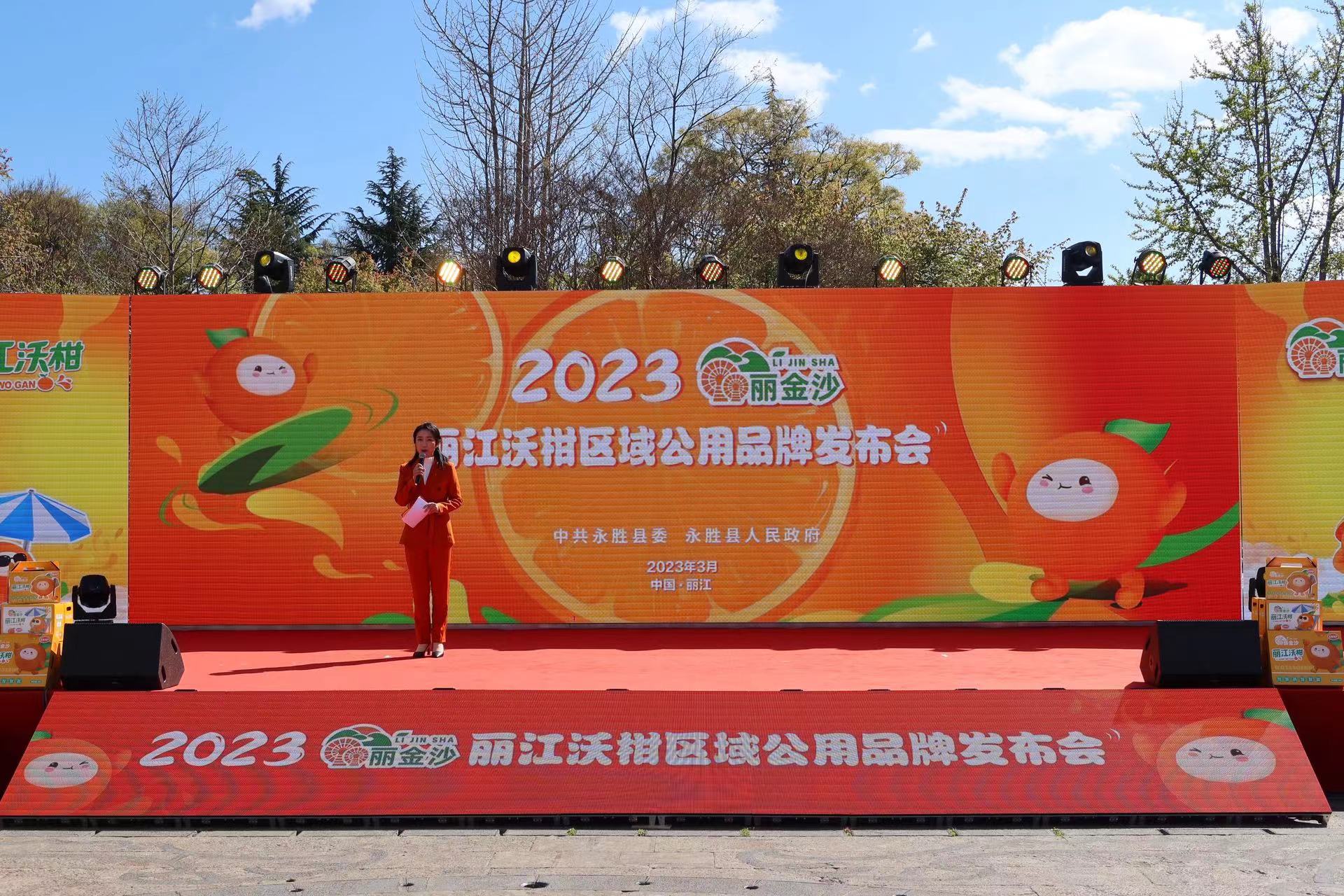 金沙江畔 黄金果味  丽金沙·丽江沃柑区域公共品牌正式发布 (4).jpg