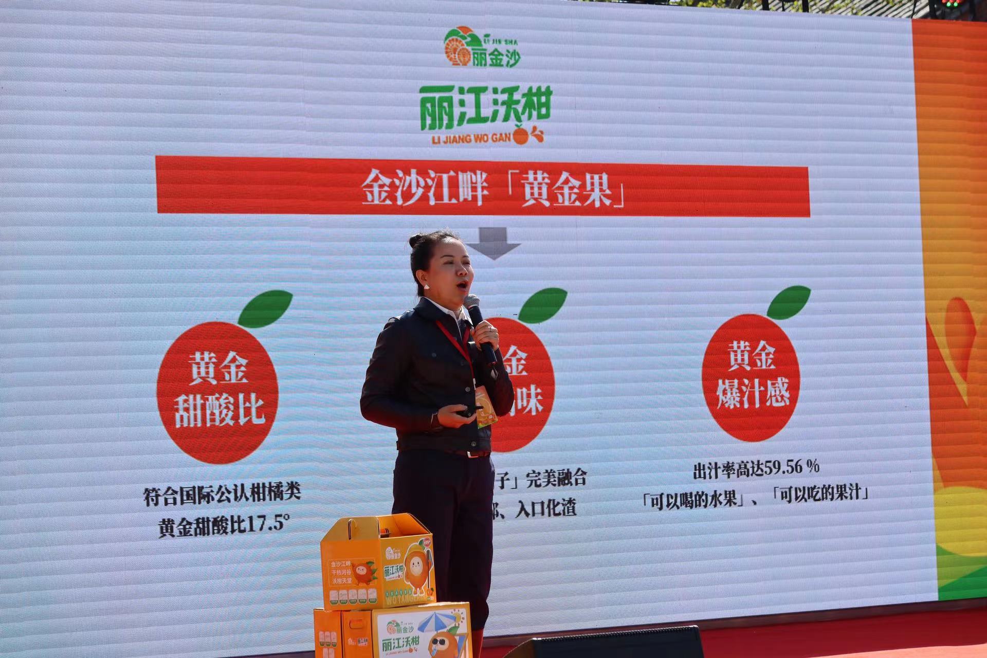 金沙江畔 黄金果味  丽金沙·丽江沃柑区域公共品牌正式发布 (5).jpg