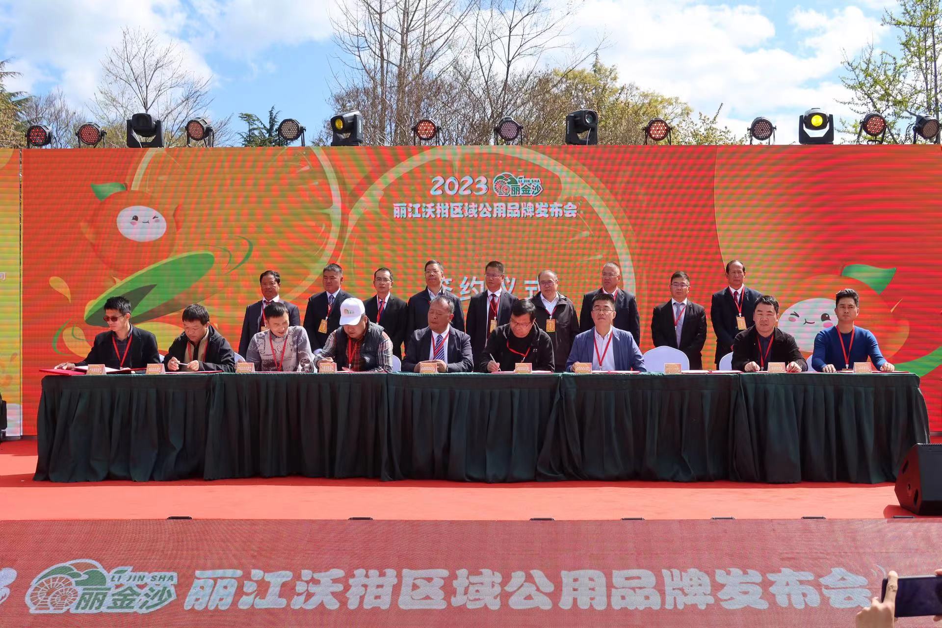 金沙江畔 黄金果味  丽金沙·丽江沃柑区域公共品牌正式发布 (9).jpg