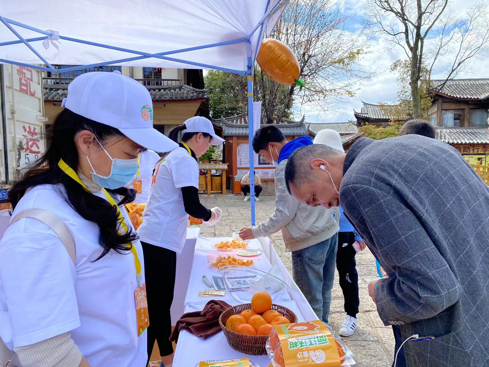 金沙江畔 黄金果味  丽金沙·丽江沃柑区域公共品牌正式发布 (10).jpg