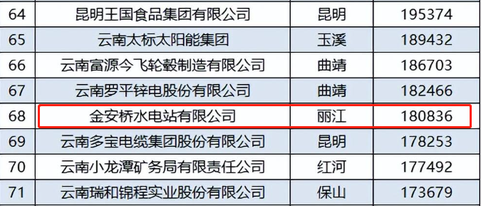 丽江唯一一家企业进入云南“百强企业”名单