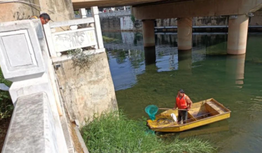 果子狸受伤蜷缩河边  华坪县暖心救助 (1).png