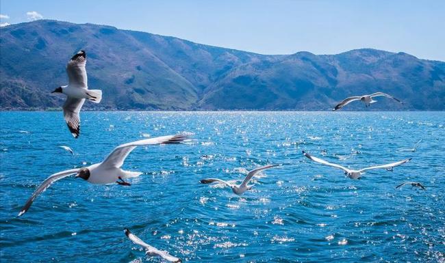 云南跟团旅游避坑指南，带你揭秘低价游猫腻！