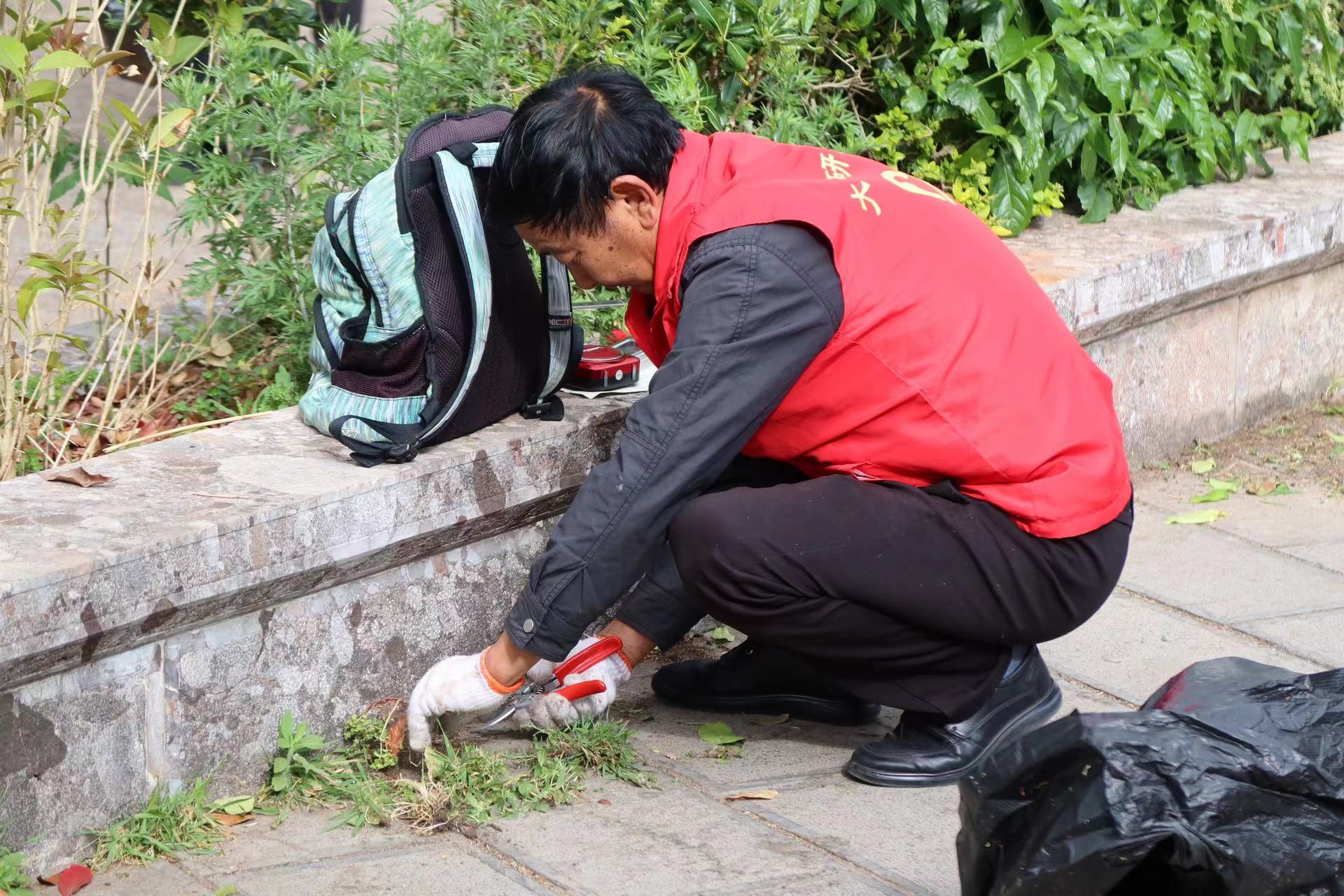丽江古城开展爱国卫生主题志愿服务活动 (4).jpg