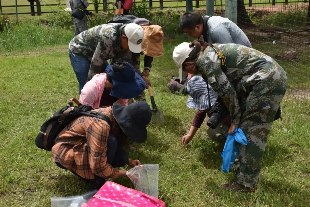 拉市海保护区综合科考成果通过省级审查 (1).jpg