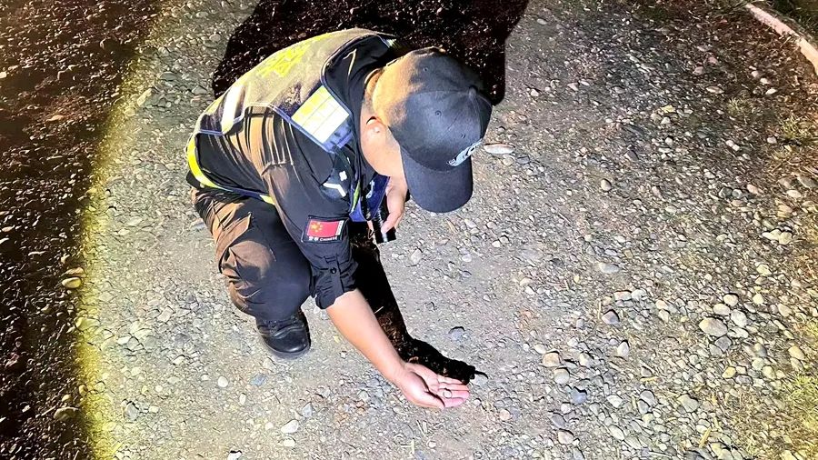 新婚夫妻婚戒遗落泸沽湖景区  民警连夜出动找回爱情信物 (2).jpg